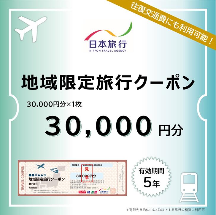 佐賀県佐賀市 地域限定旅行クーポン 30,000円分日本旅行