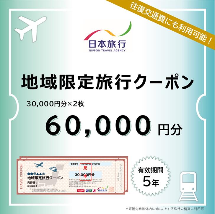 佐賀県佐賀市 地域限定旅行クーポン 60,000円分日本旅行