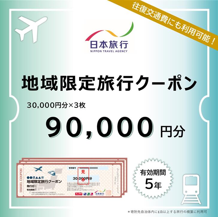 佐賀県佐賀市 地域限定旅行クーポン 90,000円分日本旅行